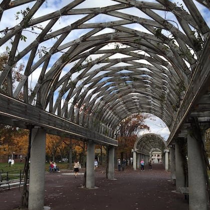 Who needs a roof over their head?