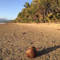 Planting the seed...