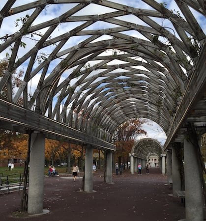 Who needs a roof over their head?