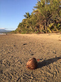 Planting the seed...